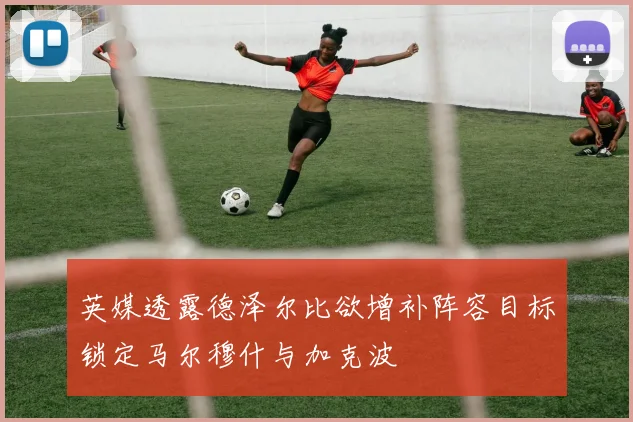 英媒透露德泽尔比欲增补阵容目标锁定马尔穆什与加克波